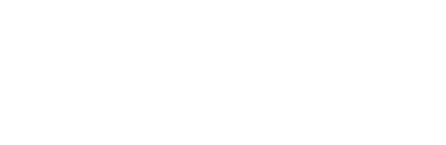 MONSOON PRO SALON